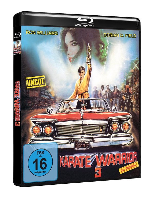 KARATE WARRIOR 3